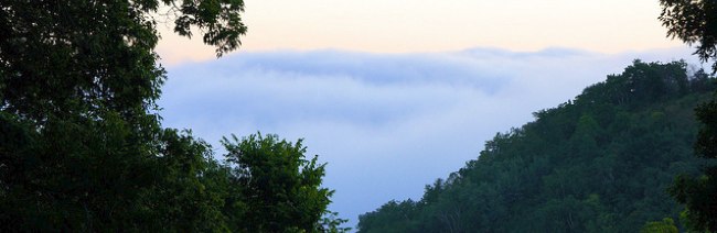Morning fog in the Valley